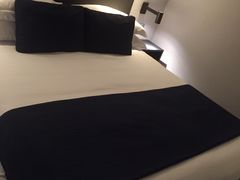 -新加坡乌节希尔顿酒店 (SG Clean)