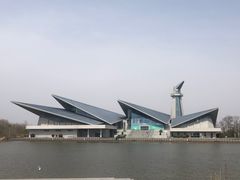 -盐城丹顶鹤湿地生态旅游区