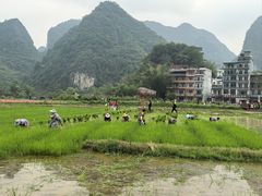 -靖西鹅泉风景区