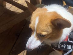 -了凡国风主题茶馆·咖啡(武侯祠锦里店)