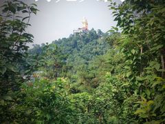 -南山植物园