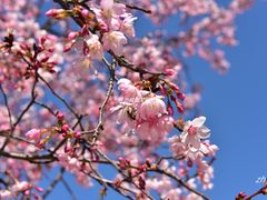 -福建鲤鱼洲酒店