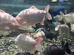 -成都浩海立方海洋公园