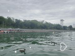 -水上乐园·欢乐世界