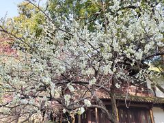 -杭州植物园