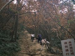 -采石矶景区
