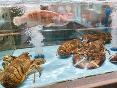 -阿伟海鲜楼·福建菜(延寿店)