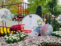 -上海共青森林公园