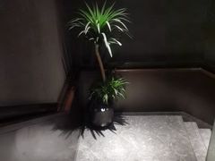 -徐记海鲜(观沙岭|滨江新城店)