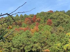 -九龙潭景区