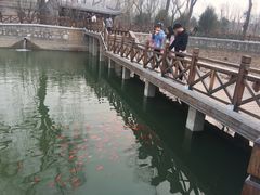 -迎泽公园
