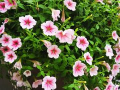 -歌神量贩式KTV(金谊店)