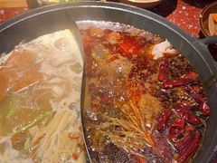 -赵美丽·重庆社区火锅·直营店(火车东站·中豪国际店)