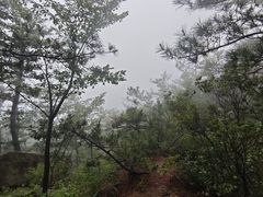 -崂山巨峰游览区