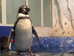 -太平洋海底世界