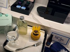 -新加坡乌节希尔顿酒店 (SG Clean)