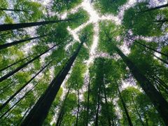 -山王坪喀斯特国家生态公园