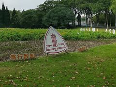 -华东政法大学(松江校区)