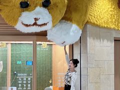 -帕帕拉兹宠物(亚洲旗舰店)