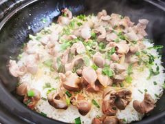 -鸽鸟轩(石岐店)