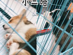 -万达广场(北京槐房店)