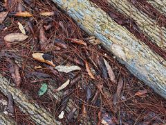 -南京市无想山景区