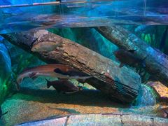 -沈阳海洋探索中心