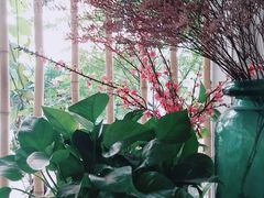 -周三的情书花园餐厅(江北店)
