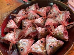 -章记正宗南岗鱼蛋火锅