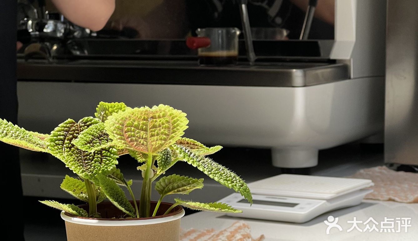 广州天河|小区内舒适咖啡屋☕