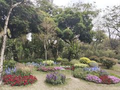 -云溪植物园