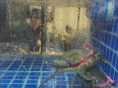 -海鲜潮·株洲海鲜集市(栗雨店)