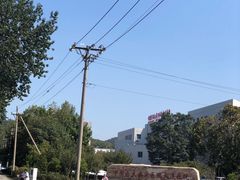 -中国医科大学附属盛京医院大连医院(总院)