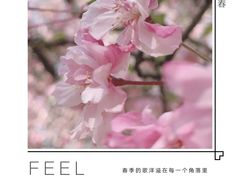 -昆明动物园