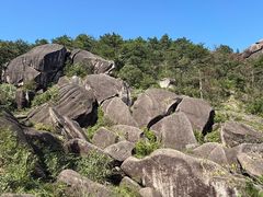 -玉苍山国家森林公园