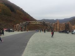 -龙道沟景区