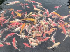 -宁波杭州湾国家湿地公园