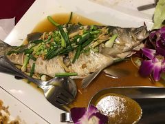 -Daddy Nimman Chiang Mai