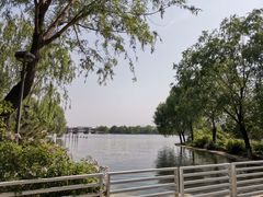 -石家庄市植物园
