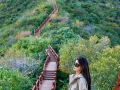 -大岭沟猕猴桃谷风景区