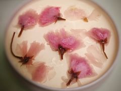 少女心樱桃冻芝士慕斯-亦家cake·0卡糖