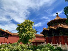 -故宫博物院(故宫)