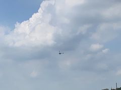 -上海月湖雕塑公园