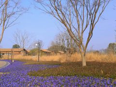 -良渚古城遗址公园