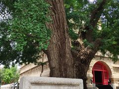 -北京石刻艺术博物馆(五塔寺)