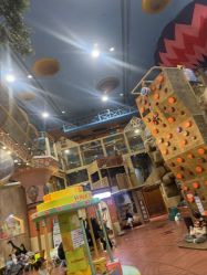 -卡通尼·Safari非洲探索乐园·生日会(金桥国际商业广场店)