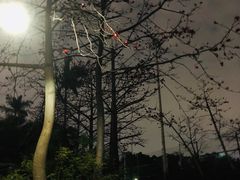 -深圳市罗湖体育馆