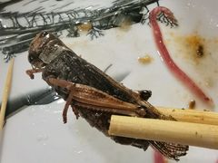 -夏家大锅台炖鱼馆