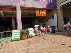 -苏州乐园森林水世界