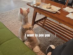 -山下C5cafe(惠通时代广场店)